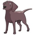 Signmission Chesapeake Bay Retriever Dog Decal, Dog Lover Decor Vinyl Sticker D-12-Chesapeake Bay Retriever